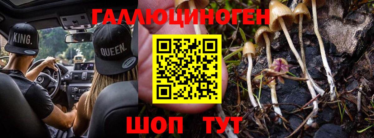 Галлюциногенные грибы Cubensis  Вход с VPN  Люберцы 